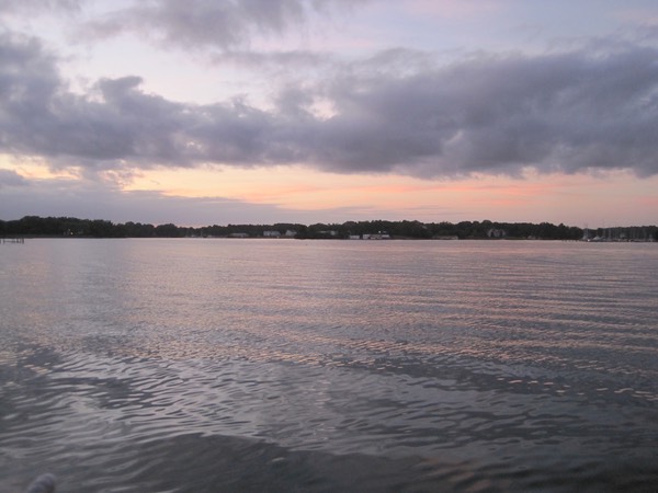 IMG_2932.jpg